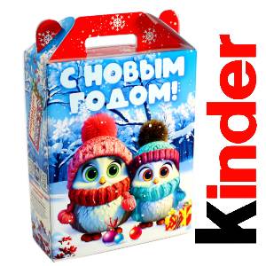 Детский подарок на Новый Год в жестяной упаковке весом 830 грамм по цене 3297 руб в Братске